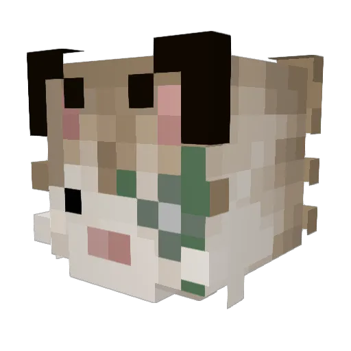 officialasspropo Minecraft avatar head, 3D render