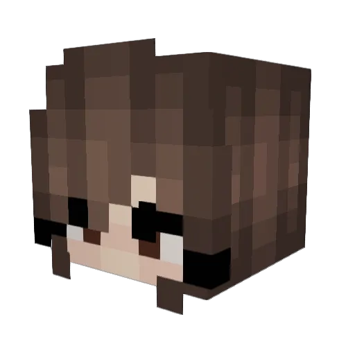 officialshamm Minecraft avatar head, 3D render