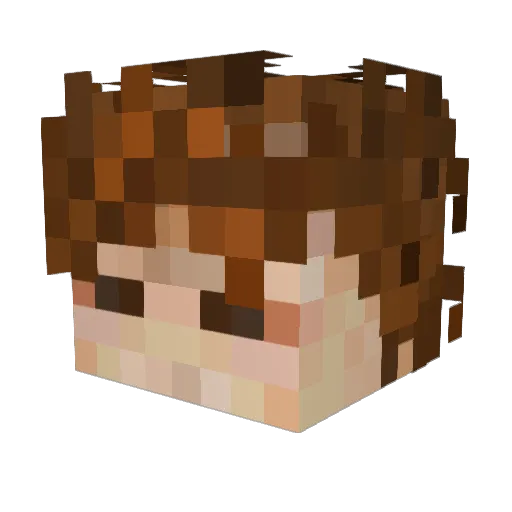 offshorewhales Minecraft avatar head, 3D render