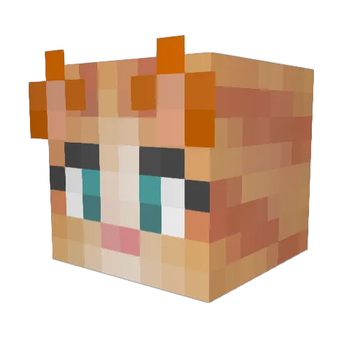 oflipinix_9 Minecraft avatar head, 3D render