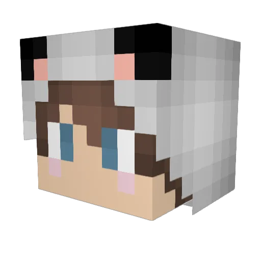 og_panda_ Minecraft avatar head, 3D render