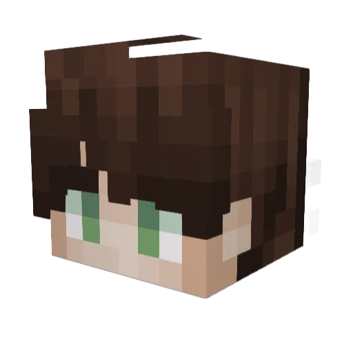 ogabasferr Minecraft avatar head, 3D render