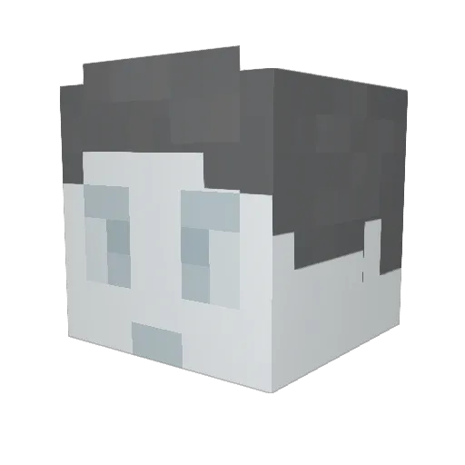 oggy_yoshi Minecraft avatar head, 3D render