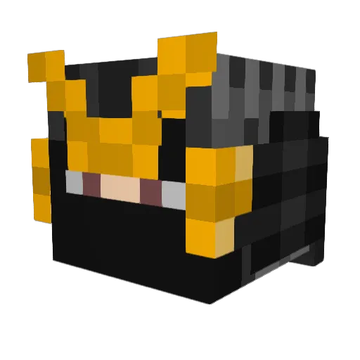 ogienm3_pl Minecraft avatar head, 3D render