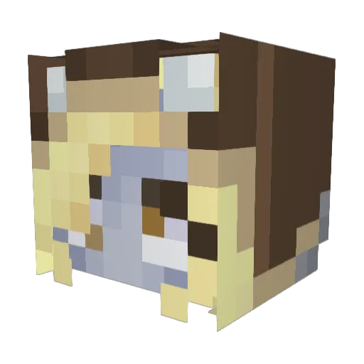 ogkola7 Minecraft avatar head, 3D render