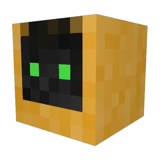 ogreepop Minecraft avatar head, 3D render