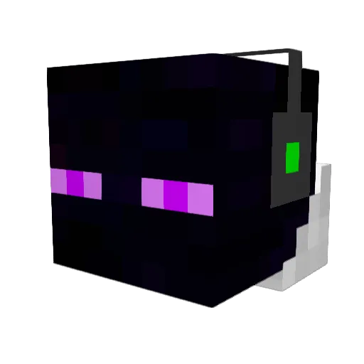 ogswagmaster Minecraft avatar head, 3D render