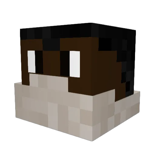 ogtitusobest Minecraft avatar head, 3D render
