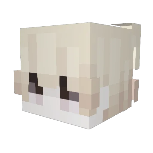 ogxp Minecraft avatar head, 3D render
