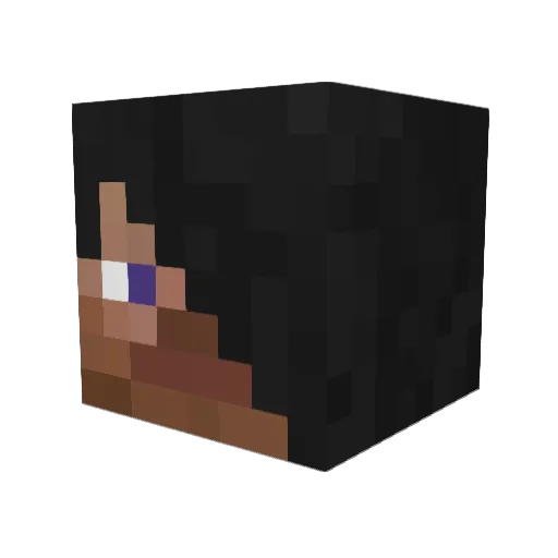 ogy Minecraft avatar head, 3D render