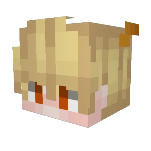 ogzhn_05 Minecraft avatar head, 3D render