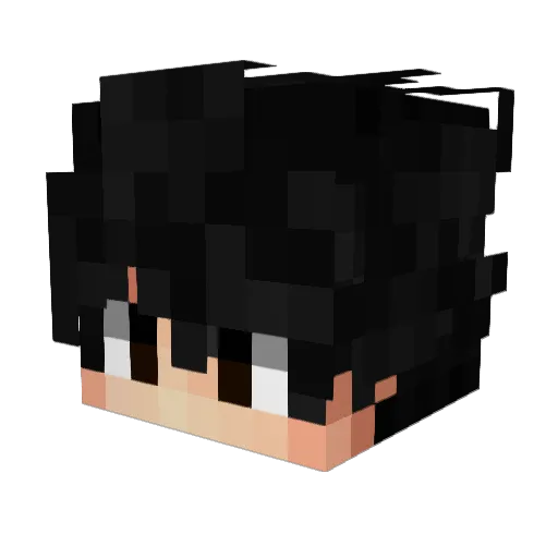 ohTracks Minecraft avatar head, 3D render