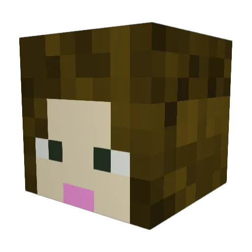 ohak13 Minecraft avatar head, 3D render