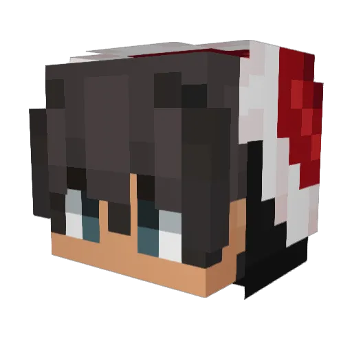 ohalloboy Minecraft avatar head, 3D render