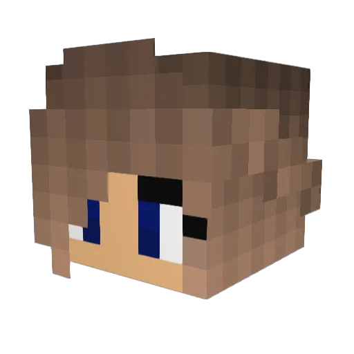 ohanakiya3716 Minecraft avatar head, 3D render