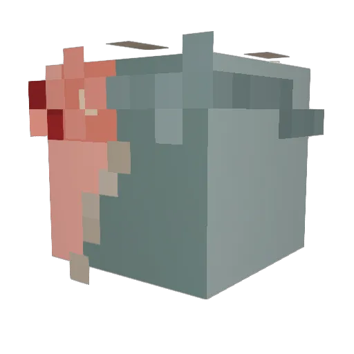 ohaxo Minecraft avatar head, 3D render