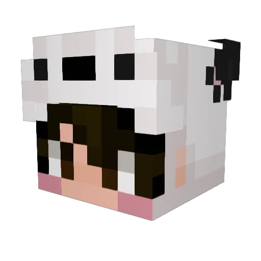 ohboy358 Minecraft avatar head, 3D render