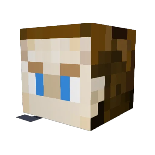 ohboyfelix Minecraft avatar head, 3D render