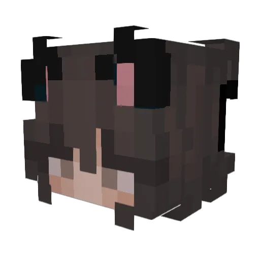 ohcashew Minecraft avatar head, 3D render