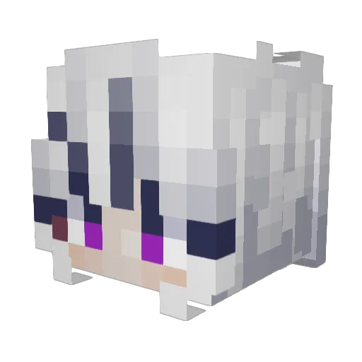 ohct Minecraft avatar head, 3D render