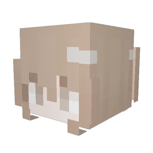 oherykah Minecraft avatar head, 3D render