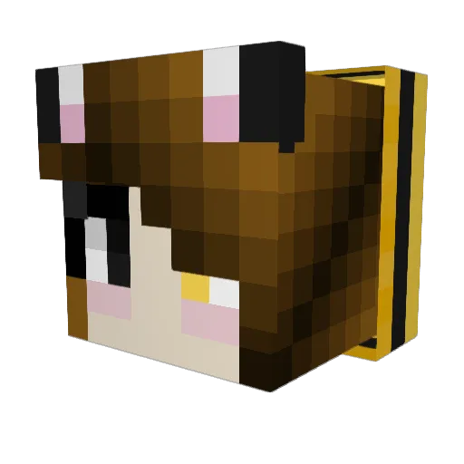 oheyitsamy Minecraft avatar head, 3D render