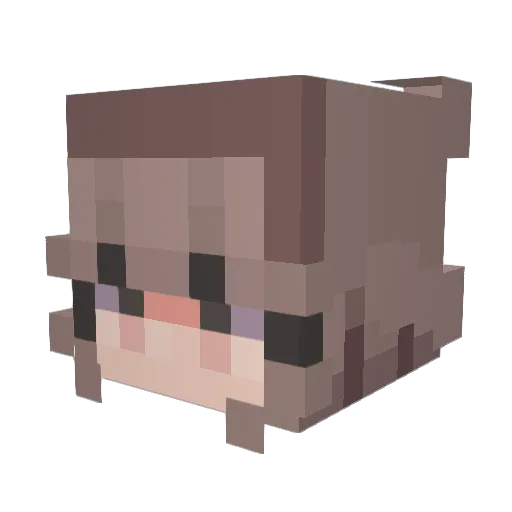 ohgabbey Minecraft avatar head, 3D render