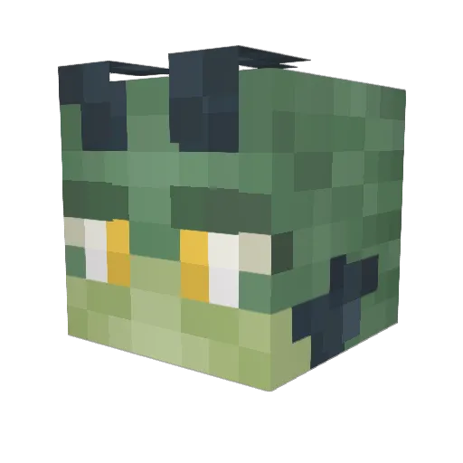 ohio920dagamer Minecraft avatar head, 3D render