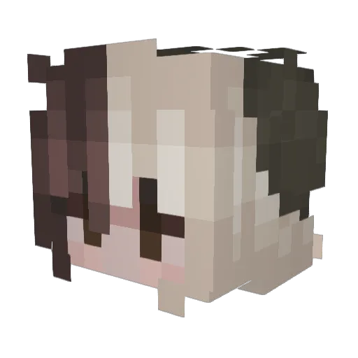 ohjeez_ Minecraft avatar head, 3D render