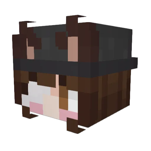 ohkaii1 Minecraft avatar head, 3D render