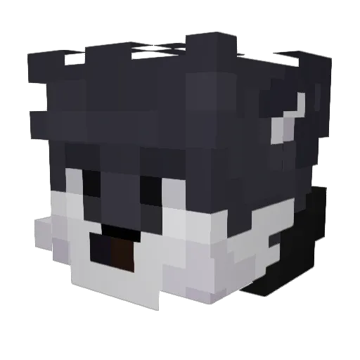 ohkuki Minecraft avatar head, 3D render