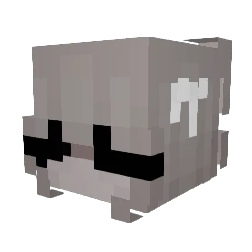 ohlovesick Minecraft avatar head, 3D render