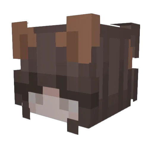 ohmellohi Minecraft avatar head, 3D render
