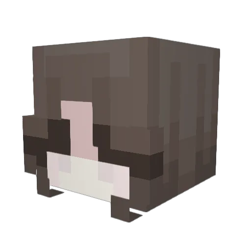 ohnoitsjoie Minecraft avatar head, 3D render