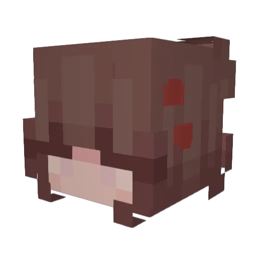 ohnololo Minecraft avatar head, 3D render