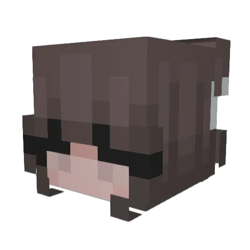 ohokayy Minecraft avatar head, 3D render