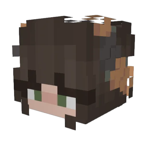 ohphelia Minecraft avatar head, 3D render