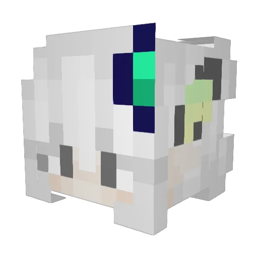 ohrayaan Minecraft avatar head, 3D render