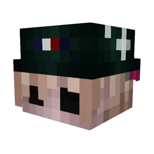 ohshitlelstega Minecraft avatar head, 3D render