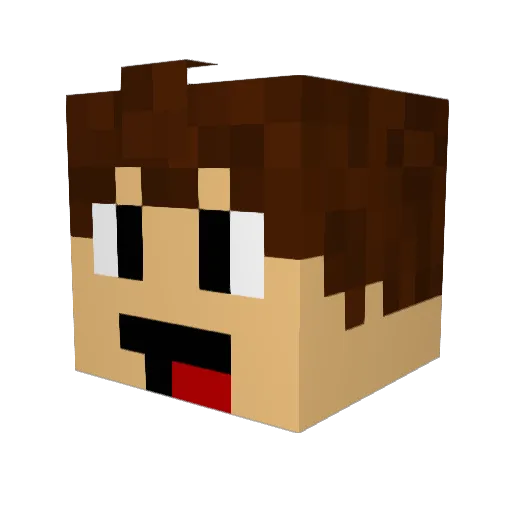 oiN9ooRx Minecraft avatar head, 3D render