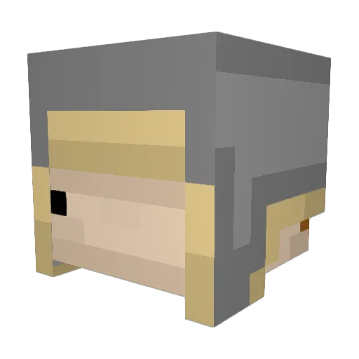 oia Minecraft avatar head, 3D render