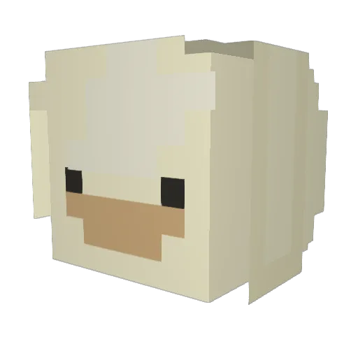 oibks Minecraft avatar head, 3D render
