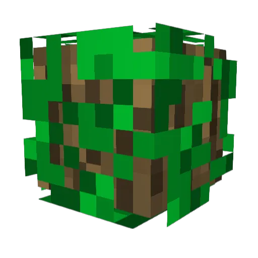 oiboy2000 Minecraft avatar head, 3D render