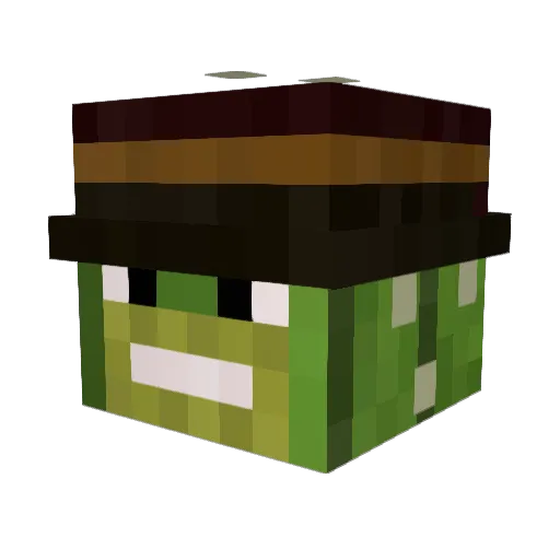 oiiiiiiinnit Minecraft avatar head, 3D render