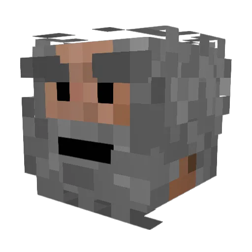 oily_pengu Minecraft avatar head, 3D render