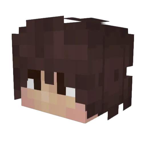 oingusboinguss Minecraft avatar head, 3D render