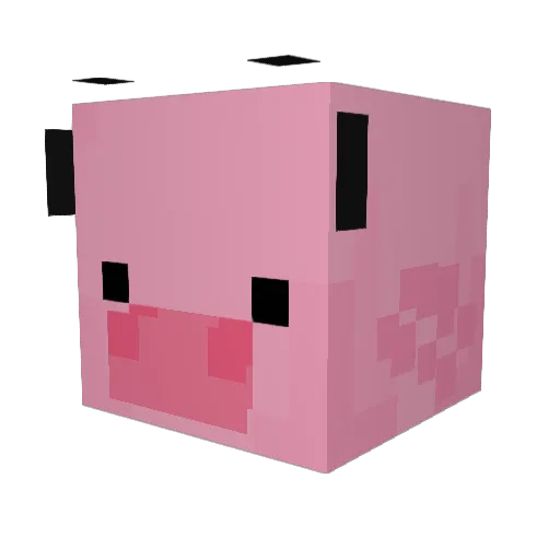 oink___ Minecraft avatar head, 3D render