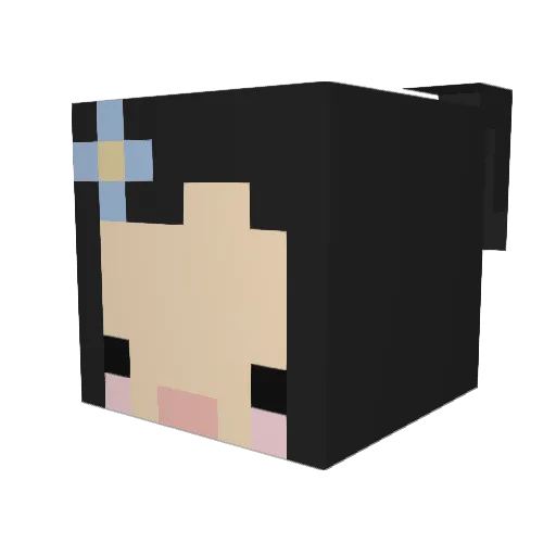 oinkpie Minecraft avatar head, 3D render
