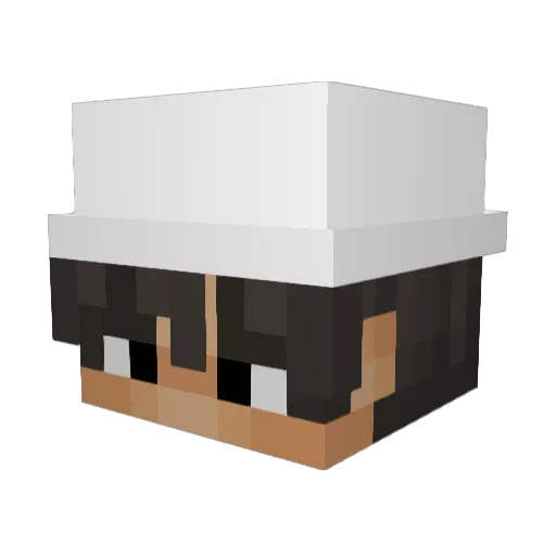 oiqelol Minecraft avatar head, 3D render
