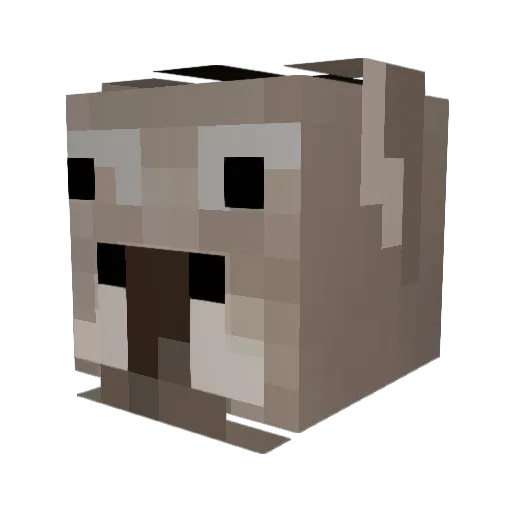 oismu Minecraft avatar head, 3D render